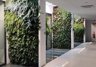 jardines verticales naturales