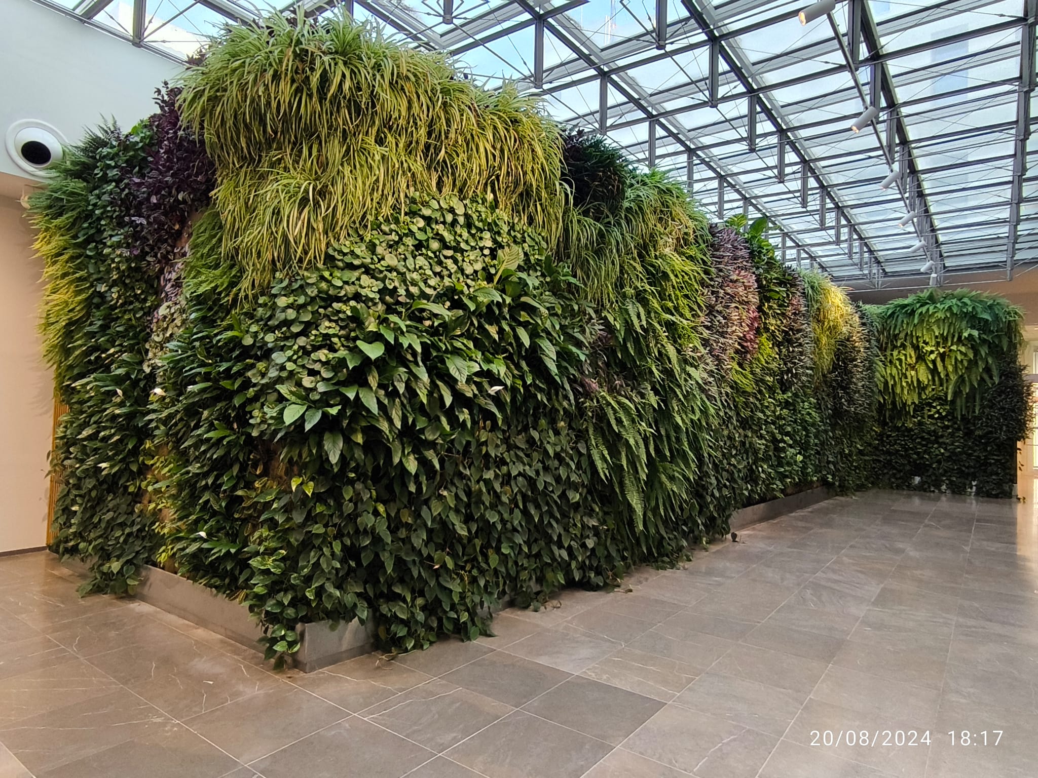 jardines verticales